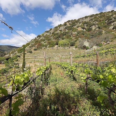 Quinta Da Ferradosa Wines Guest House Sao Joao da Pesqueira Ngoại thất bức ảnh