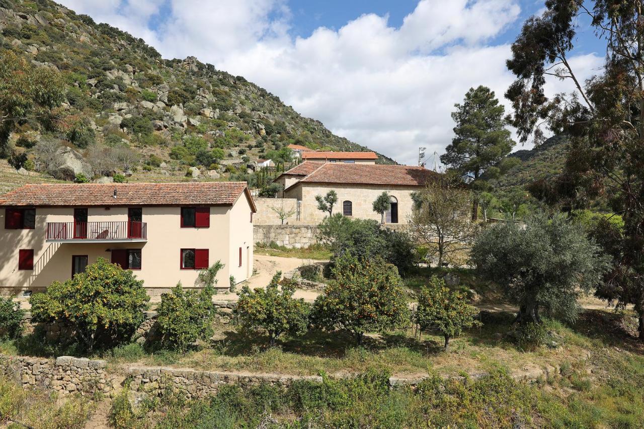 Quinta Da Ferradosa Wines Guest House Sao Joao da Pesqueira Ngoại thất bức ảnh