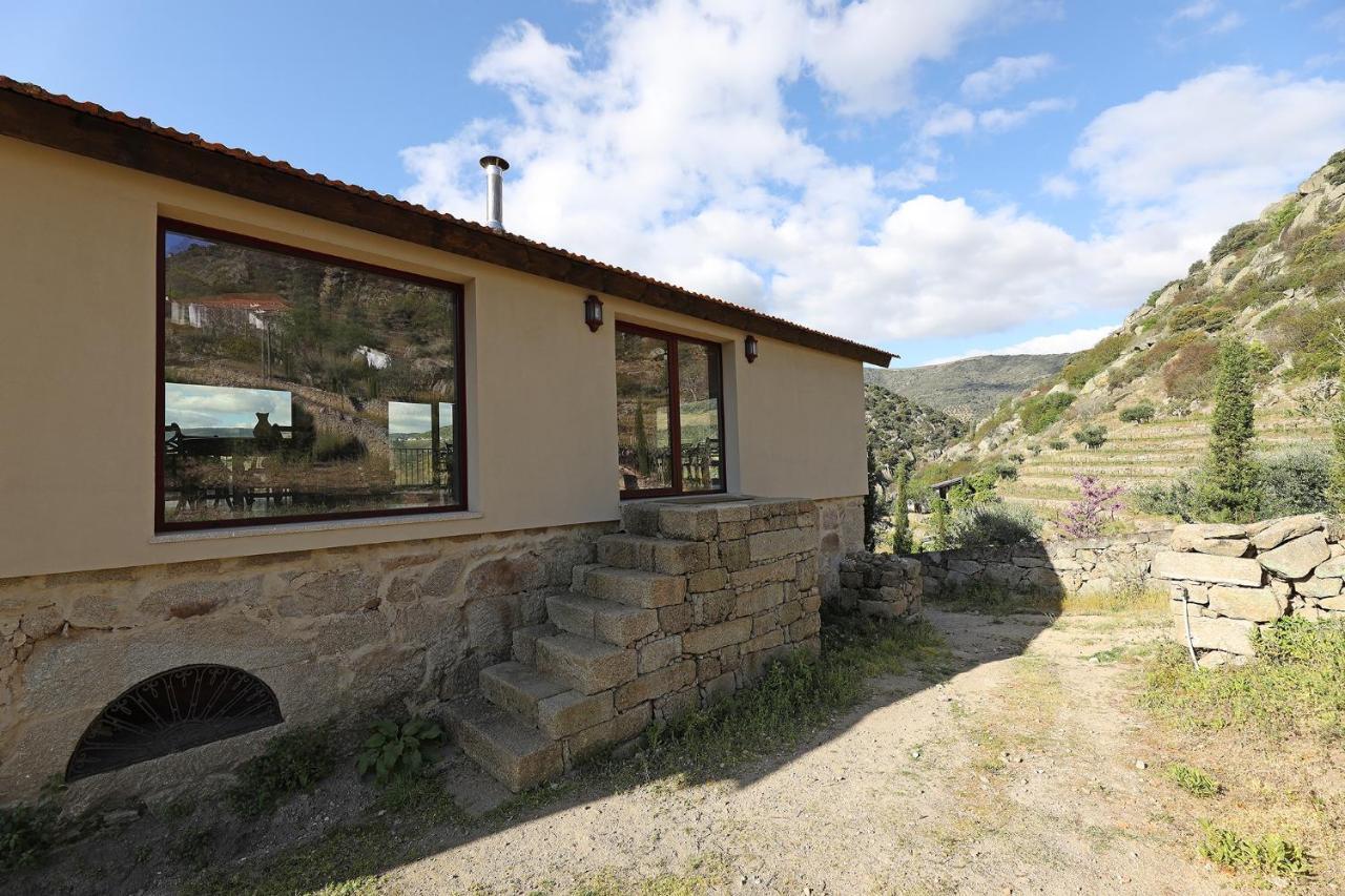 Quinta Da Ferradosa Wines Guest House Sao Joao da Pesqueira Ngoại thất bức ảnh